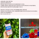 롯데쇼핑(주)e커머스사업본부 이미지