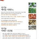 예술자연농식품 이미지