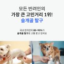 루다펫 | 마요펫 슬개골탈구 예방 관절 관리 EMS 마사지 보호대 루다의 내돈내산 후기
