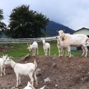 희망씨앗농장 이미지