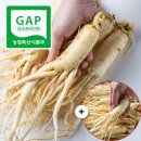 인삶