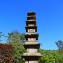버스정류장 07-202 Daum카페