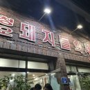 청오돼지들의세상 이미지