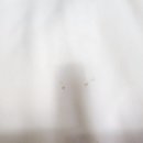 세탁하는집 이미지