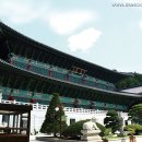 신위 카카오 검색결과