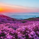 황매산군립공원 이미지