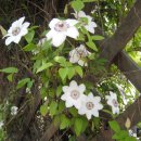 광탄낚시터 이미지