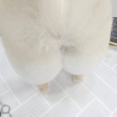 멍컷 | 전견종 가능한 양평애견미용 가위컷 포메 곰돌이만들기:멍쉘통통