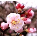 이*학 - 미추홀구 소성로318번길 10-23 | 이*학