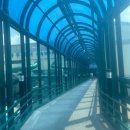 화순금호리조트푸드코트 | 전남 화순 금호리조트 아쿠아나 이용후기, 전남 실내 물놀이장 추천