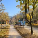 명품옻골1616협동조합 이미지