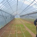 두이농장 이미지