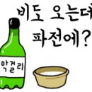 화천에코스쿨 생태체험장 이미지