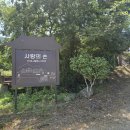 사랑의손힐링리더스