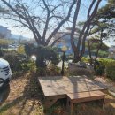 하이로프라자 이미지