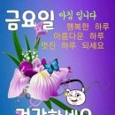 10/11,금요일-행복편지- 이미지