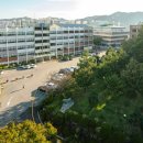 동강대자연 이미지