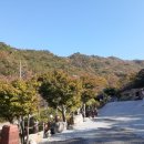 향연민박 이미지