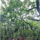 내곡동460 이미지