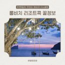 하늘빛유치원 | 푸켓여행 8일차 : 피피더비치리조트 수영장 롱비치 스노클링, 주변 맛집, ATM 등 꿀정보 공유