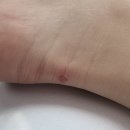 밀레니엄 | 커플 운동화 추천, 아디다스 삼바 밀레니엄 화이트 사이즈/후기