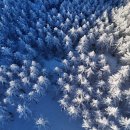 쉼터공원 화장실 이미지