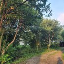 왕대골마을 이미지