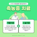 코안이비인후과의원 네이버블로그