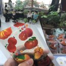 백수진미의원 이미지