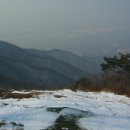 예봉농장 Daum카페