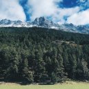 연호한의원 이미지