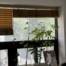 황제고물상 | 7월 월기 사진 많음 주의