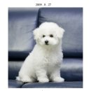 해피 - 수원시 권선구 경수대로309번길 20 | 해피