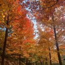 경상남도수목원주차장 이미지