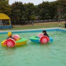 박달농원 Daum카페