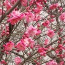 두산할머니경로당 이미지