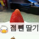 일진세탁소 이미지