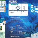 괴산고추축제 이미지