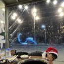 조개패거리 이미지