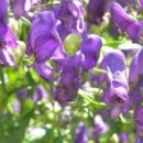 부자한의원 이미지