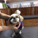 애니온동물병원 이미지