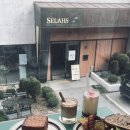 금정희망의 집 | 부산브런치맛집 구서동카페 금정구브런치 대형카페 셀라스 재방문 후기 주차