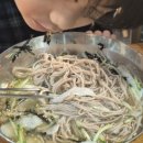 황학산수목원화장실 | [경기 여주 현지인 맛집] 화덕꾼 고기주는 물(비빔)막국수 방문후기