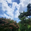 팔학산 유아숲체험원 이미지