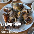 신시모도 맛집 모도 소라요리 전문점 해당화나들목 소라찜 후기