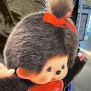 신구중학교 | 몬치치 팝업스토어 캐리마켓 신사