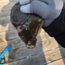 향로봉 출장소(동해해양경찰서) 화장실 | 아이들이랑 해도 즐거울 삼척 가자미 배낚시 체험 럭키호 후기