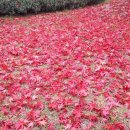 우림특장 이미지