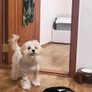 (주)아윤 네이버블로그
