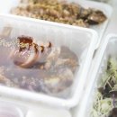 고림족발 이미지